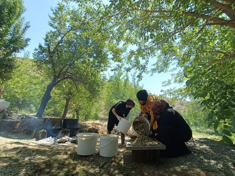 70 hastalığa şifa ve yolculuğu çok 'tatlı'! 100 yıldır Sivan Dut pekmezi sayesinde geçiniyorlar - Resim: 3