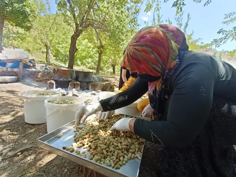 70 hastalığa şifa ve yolculuğu çok 'tatlı'! 100 yıldır Sivan Dut pekmezi sayesinde geçiniyorlar - Resim: 2