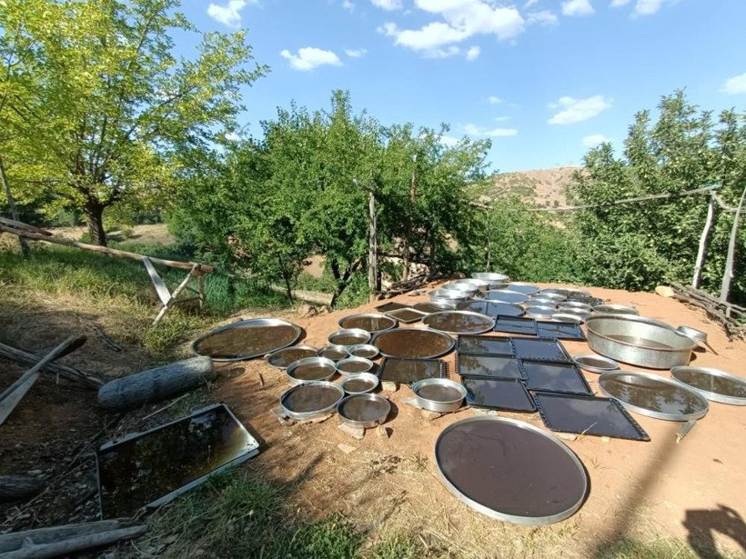 70 hastalığa şifa ve yolculuğu çok 'tatlı'! 100 yıldır Sivan Dut pekmezi sayesinde geçiniyorlar - Resim: 4