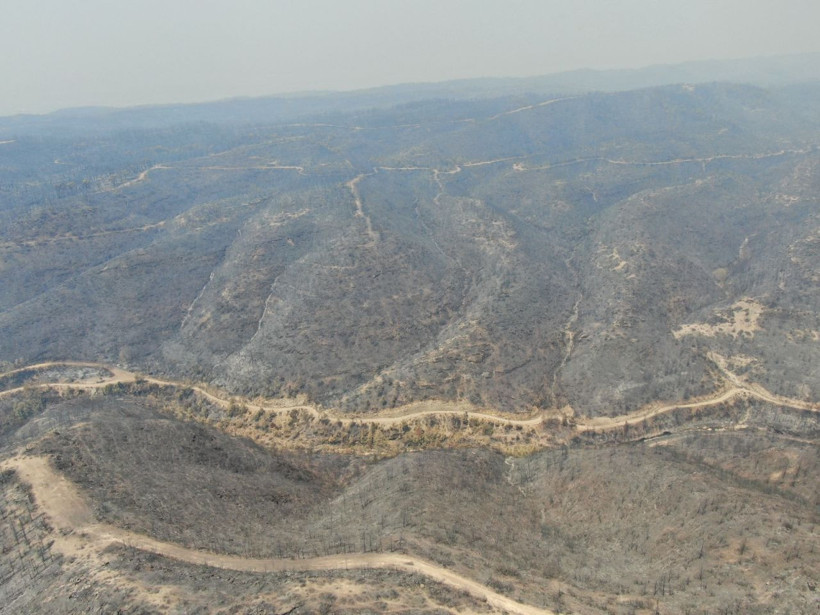 Antalya Manavgat'ta söndürülen alanlar havadan görüntülendi - Resim: 2