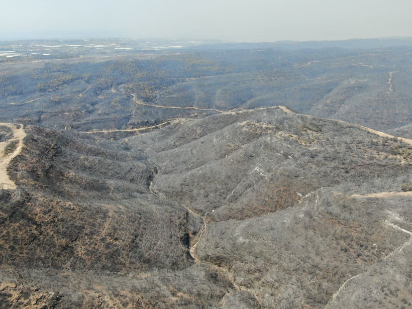 Antalya Manavgat'ta söndürülen alanlar havadan görüntülendi - Resim: 4