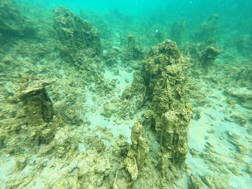 Van Gölü'nde tespit edildi uzman isim açıkladı 20-40 metre boylarında - Resim: 1