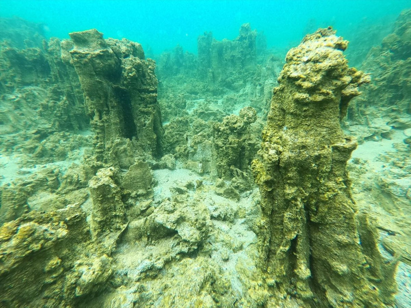 Van Gölü'nde tespit edildi uzman isim açıkladı 20-40 metre boylarında - Resim: 4