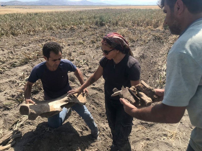 Kahramanmaraş'ta tarlasını sürerken pulluğa takıldı apar topar yetkilileri aradı - Resim: 4