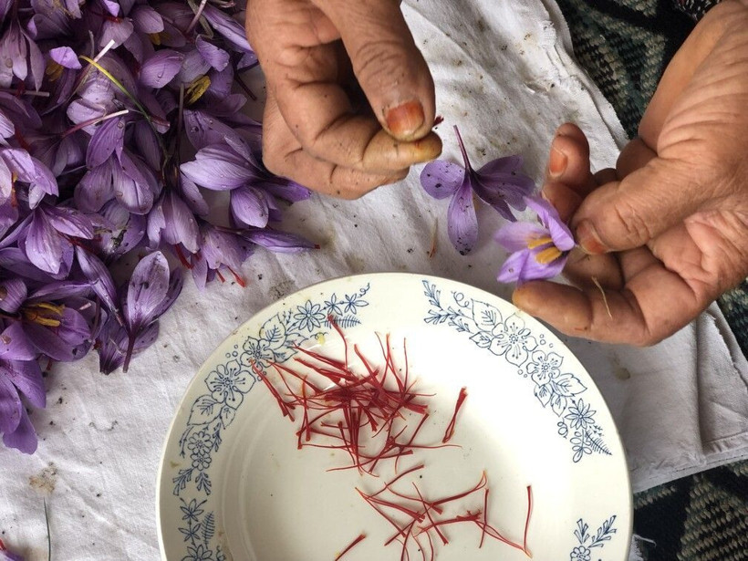 Gramı 50 TL'ye satılıyor! Adana'da paraya para demiyor: Avrupa sıraya girdi - Resim: 2