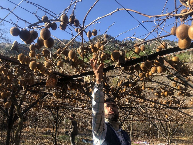 10 bin TL kazanıyor! Adana'da 8 yıl önce hobi olarak başlamıştı - Resim: 2