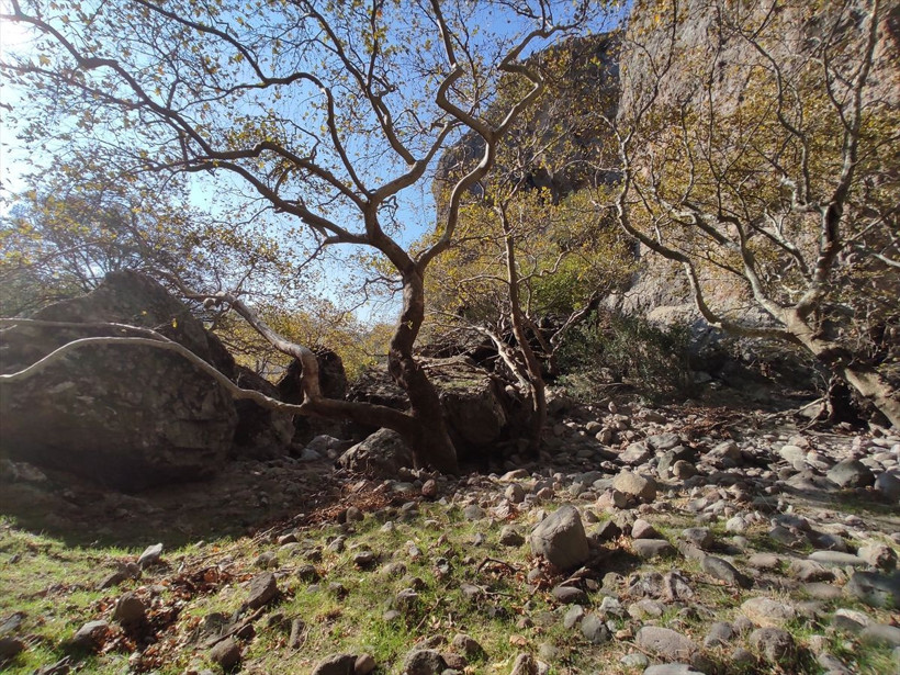 İzmir Dikili'de bulunan mağaranın sırrı çözülüyor yeni tarihsel keşifler gündemde - Resim: 4