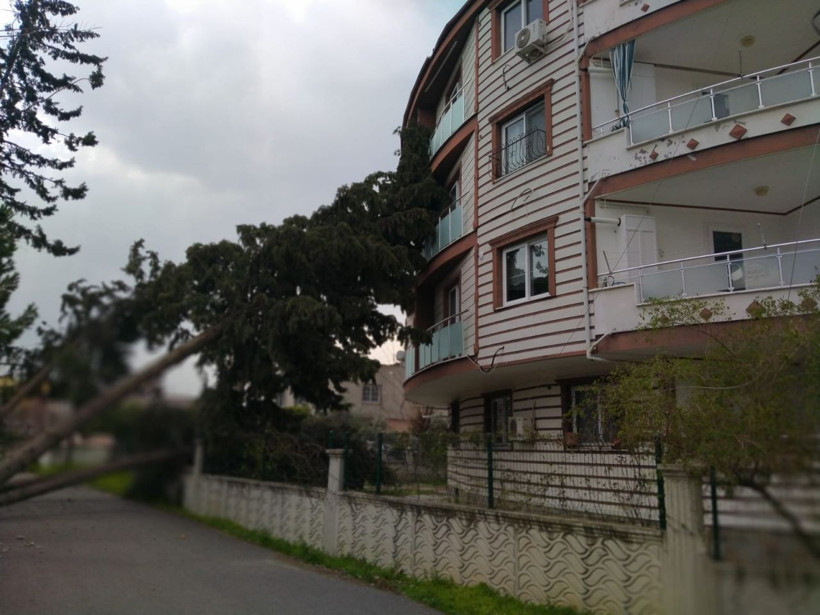 Hatay'da fırtına kabusu! Çatılar uçtu ağaçlar devrildi: Okullar tatil edildi - Resim: 2