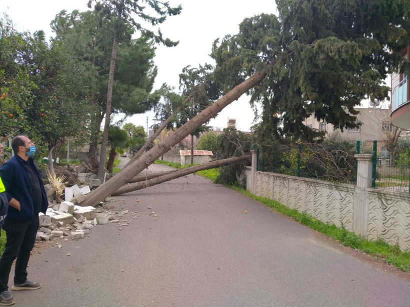 Hatay'da fırtına kabusu! Çatılar uçtu ağaçlar devrildi: Okullar tatil edildi - Resim: 4
