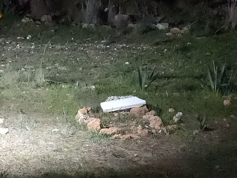 Ormanlık alan içindeki mezar polisi alarma geçirdi! İçinden bakın ne çıktı - Resim: 1