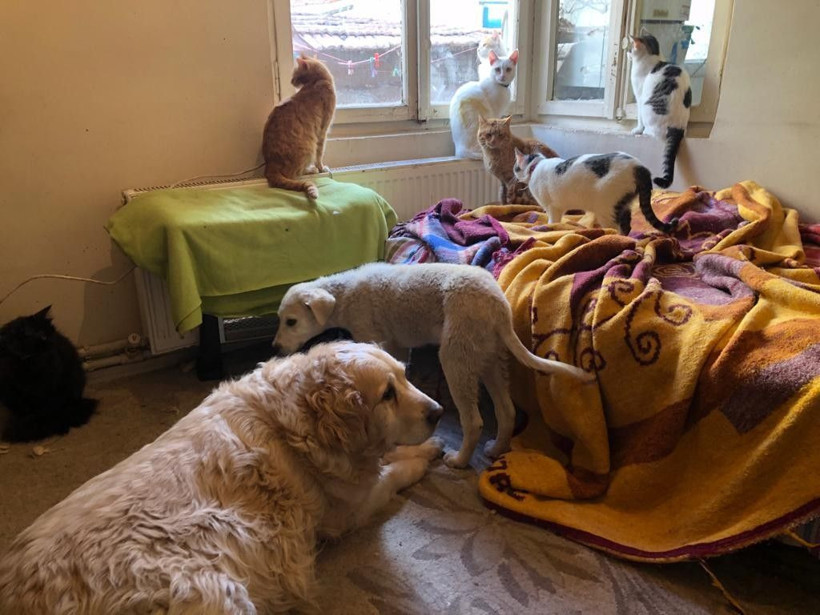 Eskişehir'de izlediği bir video hayatını değiştirdi! Evini görenler şaştı kaldı: Tek isteğim... - Resim: 4