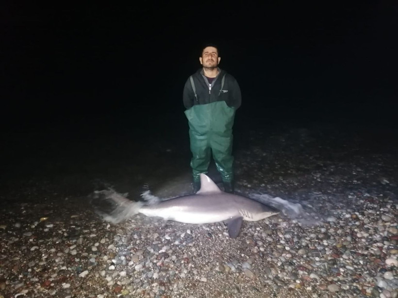 Manavgat'ta balıkçılar şaşkına döndü fotoğrafını çekip hemen 112'yi aradılar - Resim: 3