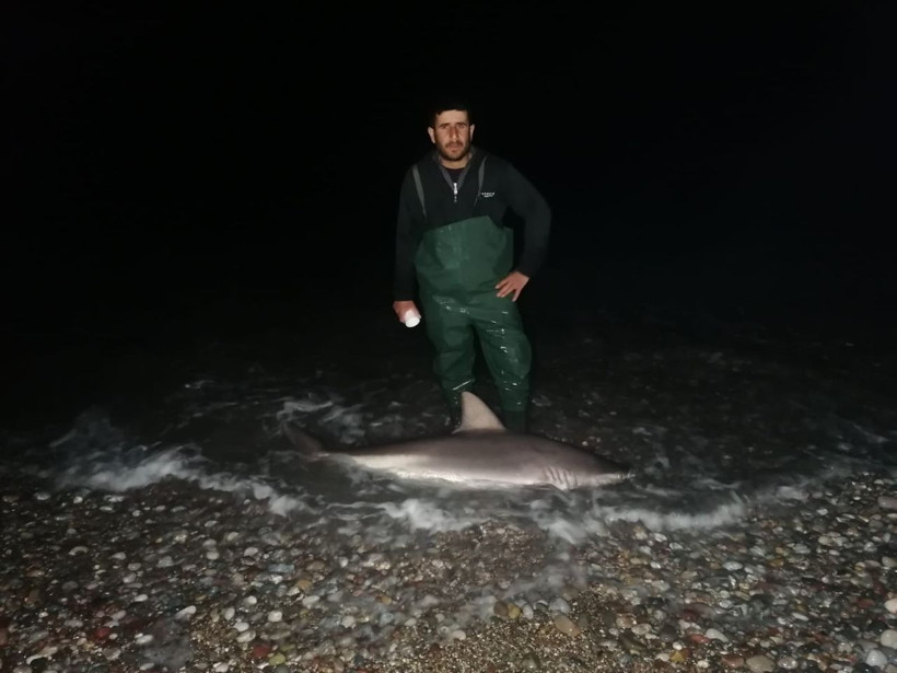 Manavgat'ta balıkçılar şaşkına döndü fotoğrafını çekip hemen 112'yi aradılar - Resim: 4