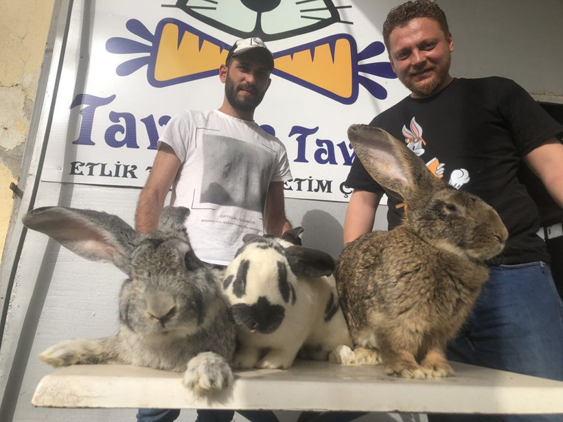 Yurtdışından getirtti gören gözlerine inanmıyor! Hepsi dev gibi - Resim: 2