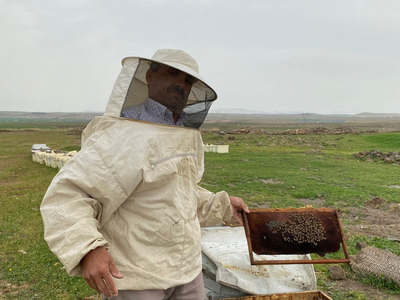 Çöl tozu ve mevsim bozukluğu çiçekleri yıktı milyarlarca arı telef oldu! - Resim: 4
