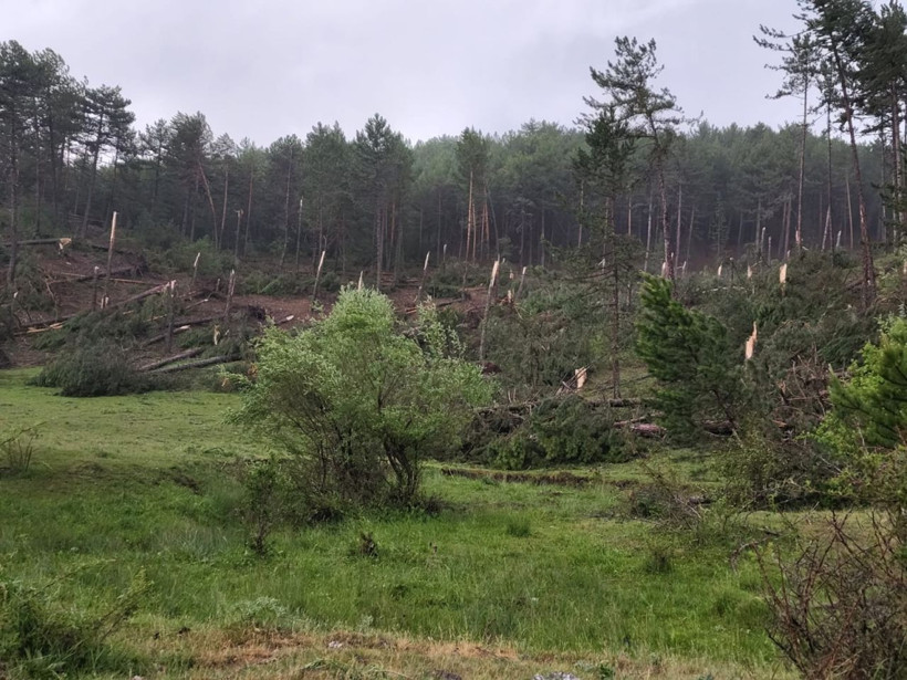 Kütahya'da hortum felaketi! Köye gelse köyü yıkacaktı! Ormanda ağaçları biçip geçti - Resim: 2