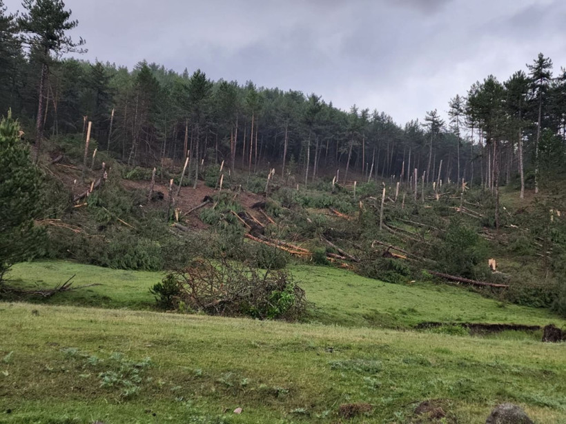 Kütahya'da hortum felaketi! Köye gelse köyü yıkacaktı! Ormanda ağaçları biçip geçti - Resim: 3