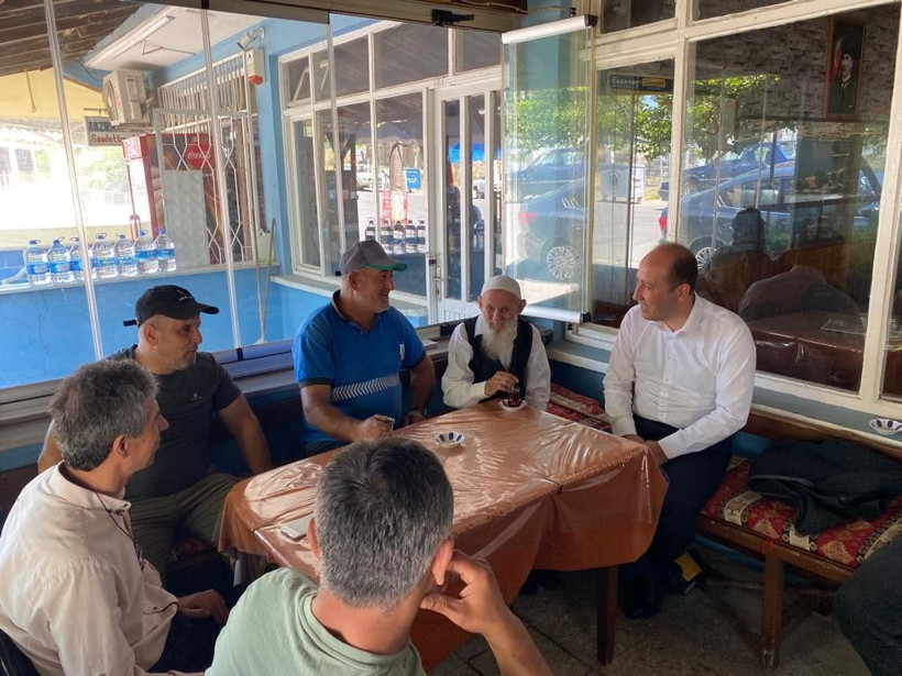 Yağ krizinin umudu ayçiçek tarlalarını çayır zararlısı sardı! - Resim: 1