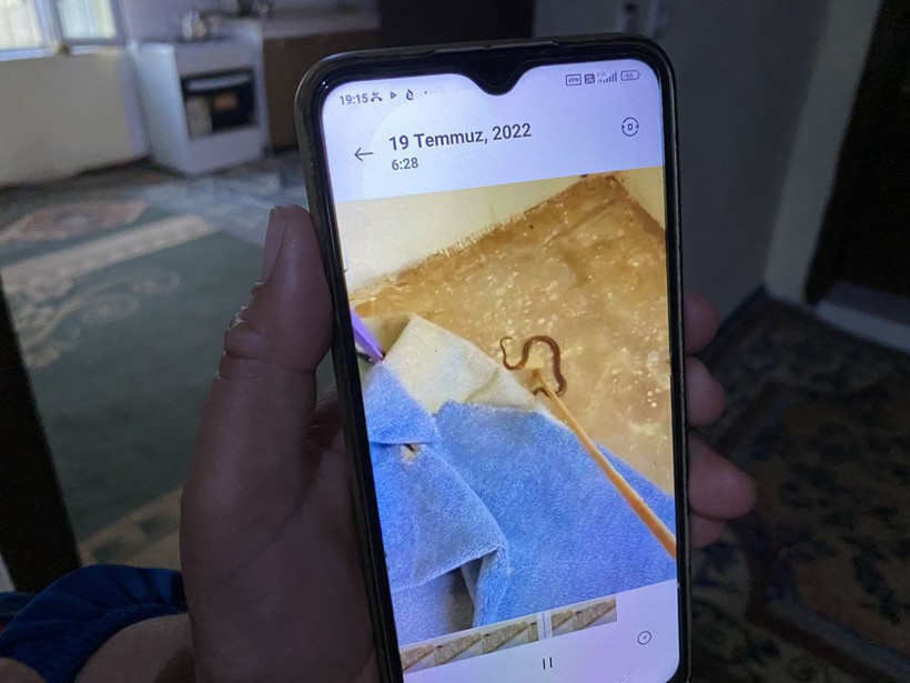 Hakkari'de yılan evi! Her yerden çıkıyor ailenin gözüne uyku girmiyor evin hanımının sözleri ürküttü - Resim: 3
