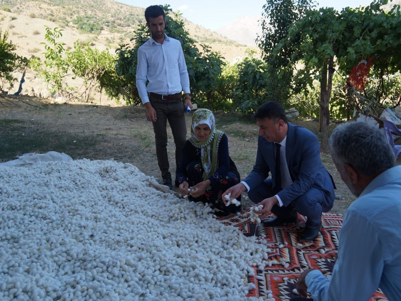 İpek böceğinden bir ayda 1 milyon TL kazanç! - Resim: 2