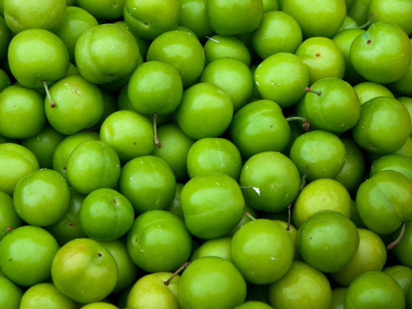 Yeşil eriğin faydaları saymakla bitmiyor! Bol bol tüketin - Resim: 2