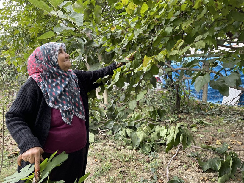 Komutan ben yaparım dedi 20 asker fındık bahçesine daldı! Yaşlı anne görünce içi gitti - Resim: 3