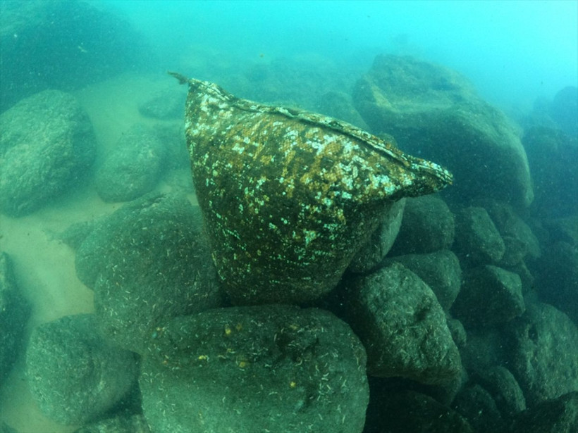 Van Gölü'nün çekilmesiyle ortaya çıktı dalgıçlar görüntüledi - Resim: 2