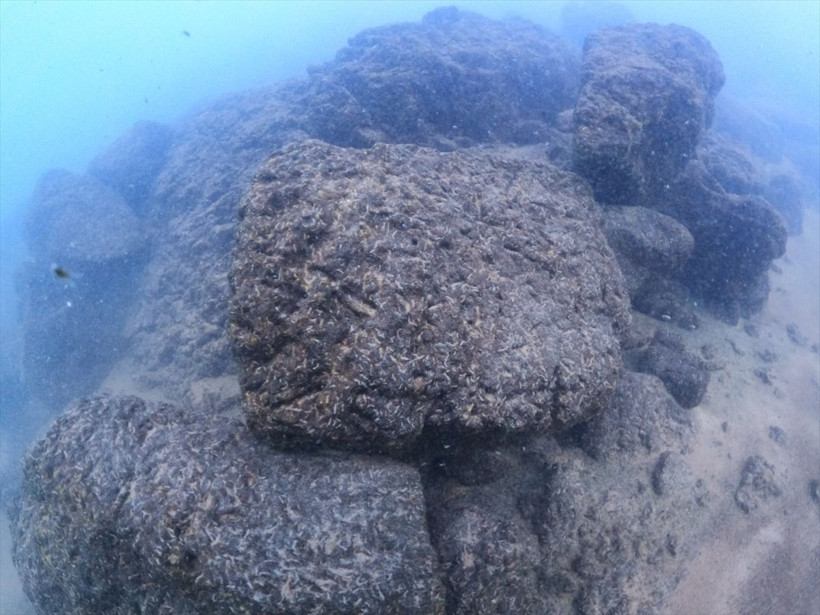Van Gölü'nün çekilmesiyle ortaya çıktı dalgıçlar görüntüledi - Resim: 3