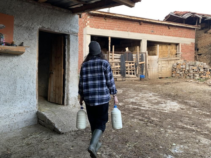 Herkes evlenmesini bekliyordu! 23 yaşında işinden istifa edip hayalleri için sütçü oldu - Resim: 4