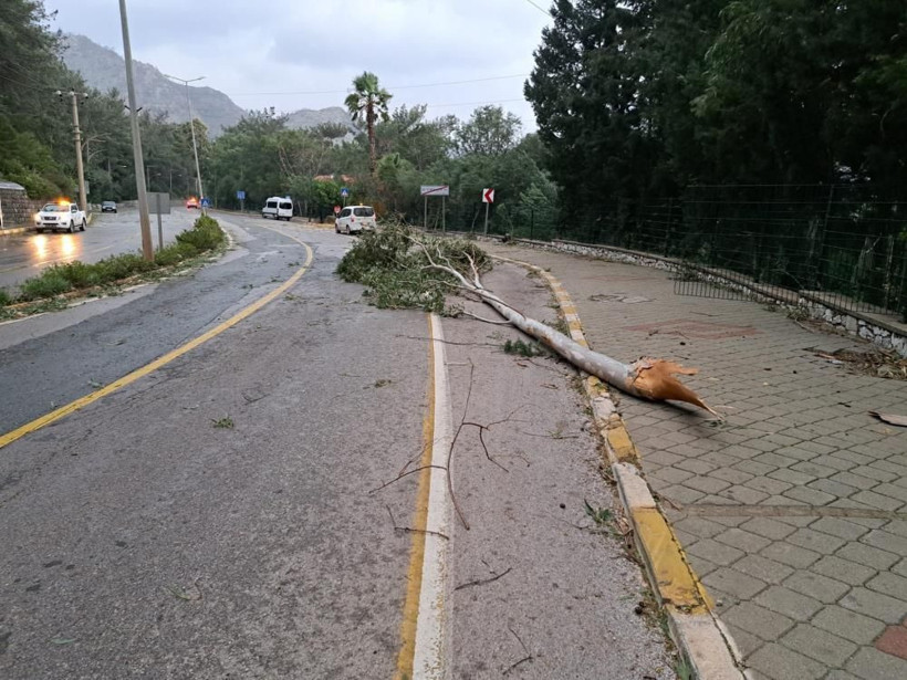 Muğla'da fırtına yıktı geçti! Görüntüler çok fena otomobiller ağaçların altına kaldı zarar büyük - Resim: 4