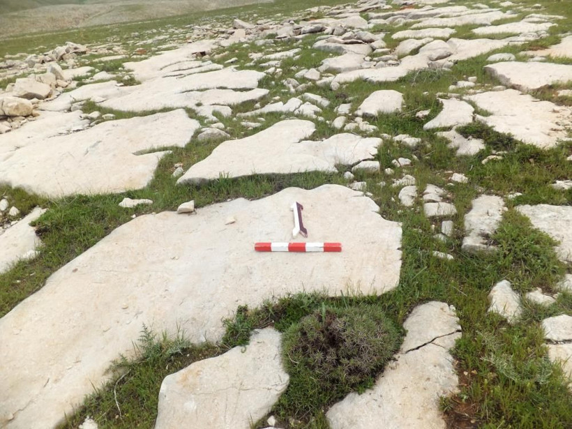 Tunceli'de keşfedildi: Surların arasında gizliydi! Dünyanın en eski karayolu ortaya çıktı... - Resim: 2