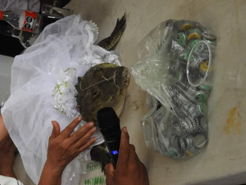 Meksika'da sıra dışı gelenek! Belediye başkanı timsahla evlendi, gelinlik giydirdi, dans etti - Resim: 3