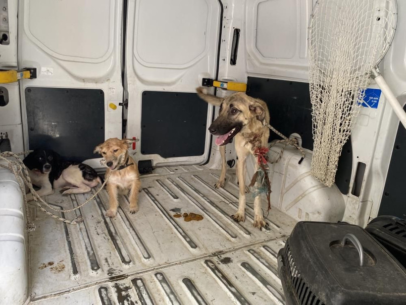 Bir çöp ev vakası daha! Kötü koku mahalleyi isyan ettirdi: Mikrop yuvası evden çıkanlar şoke etti! - Resim: 4