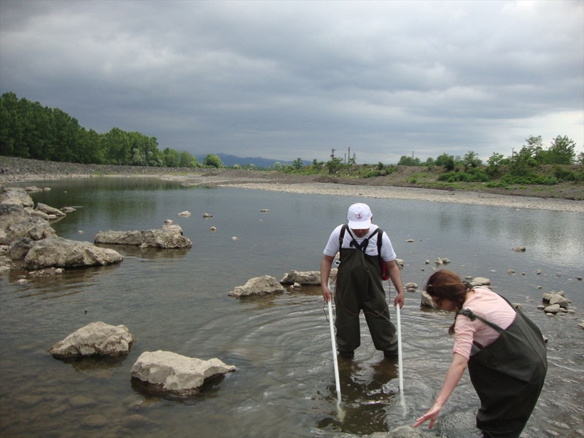 'Boğazlardan katiyen geçmez' deniliyordu taş ısıran balık Samsun'da görüldü - Resim: 2