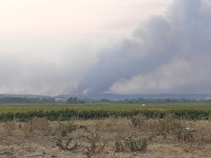 Yunanistan yangını Türkiye sınırına dayandı! Gökyüzü dumandan görünmüyor! - Resim: 3