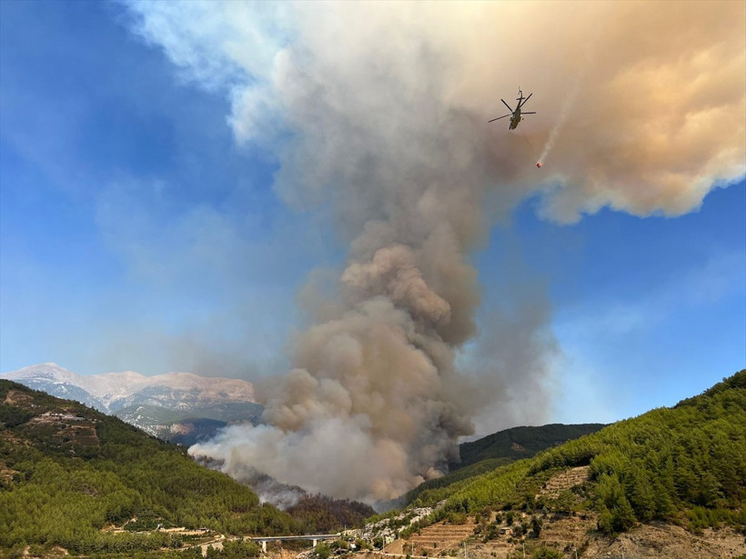 Orman yangını başladı Alanya'dan dehşet görüntüler! Evler tahliye edildi, alevlere yüzlerce personel müdahale ediyor - Resim: 1