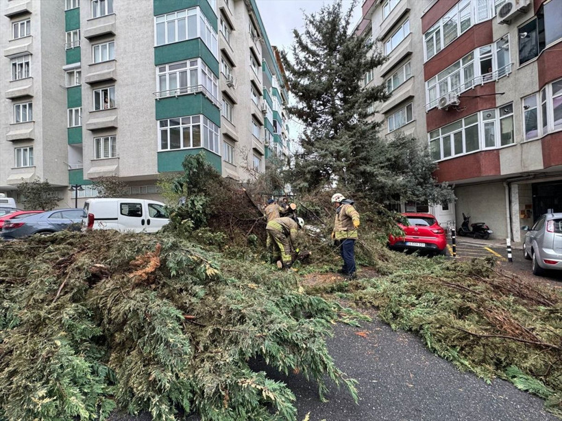 İstanbul'da fırtına! Ağaçlar devrildi, çatılar uçtu görüntülere bakın! - Resim: 4