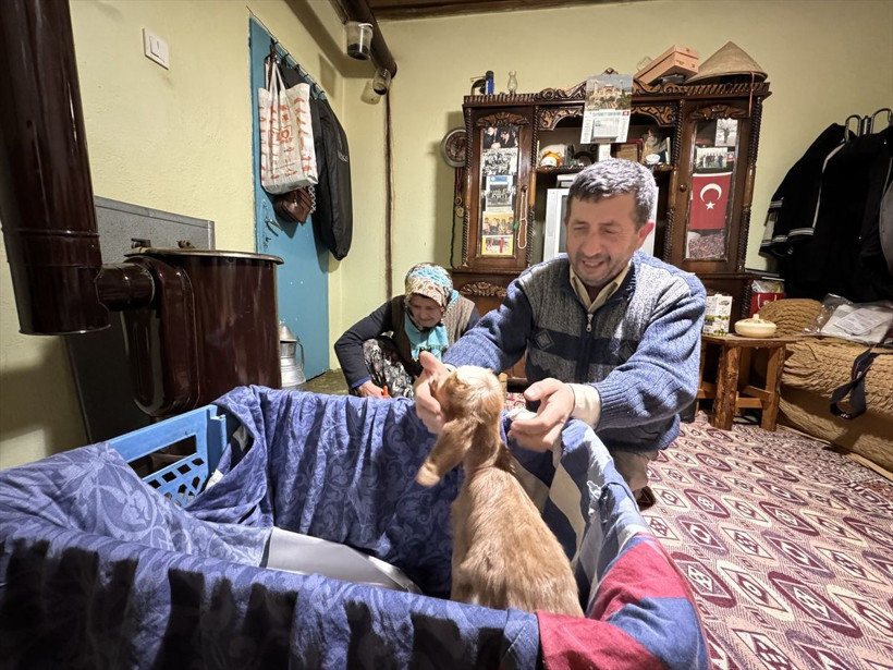 Torunlarının adını verdikleri oğlağa evlerinde bebek gibi bakıyorlar - Resim: 4