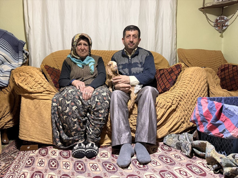 Torunlarının adını verdikleri oğlağa evlerinde bebek gibi bakıyorlar - Resim: 1