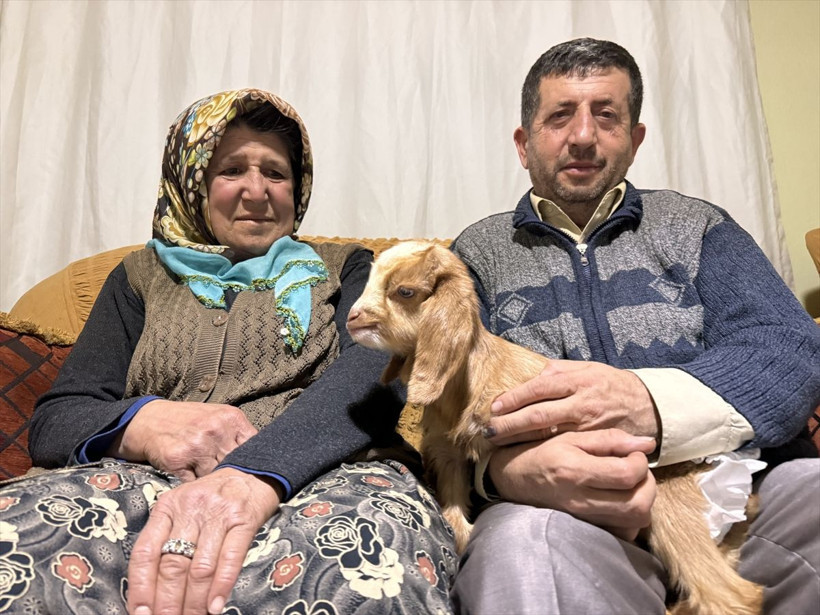 Torunlarının adını verdikleri oğlağa evlerinde bebek gibi bakıyorlar - Resim: 2