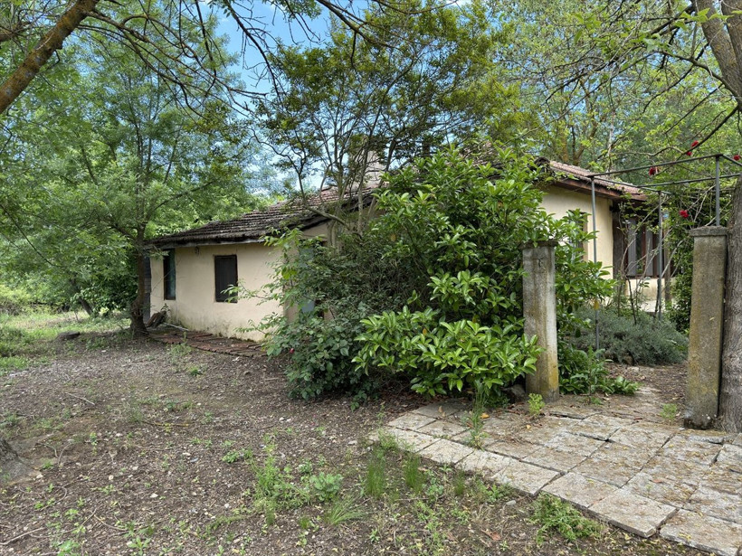 Kafatası parçası ile 3 kemik daha bulundu! Ekonomist Korhan Berzeg olayında yeni gelişme! - Resim: 1