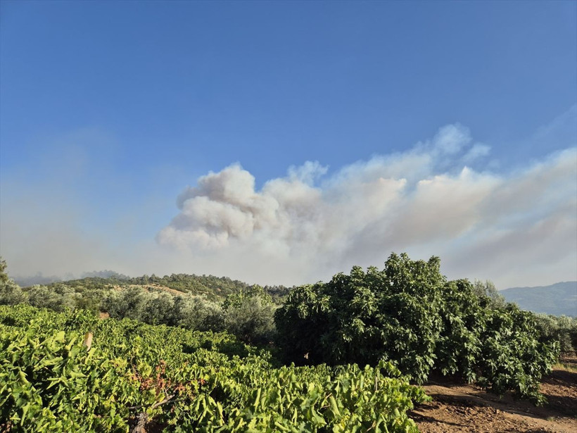Manisa Ahmetli'de orman yangını: Tahliye başladı - Resim: 2