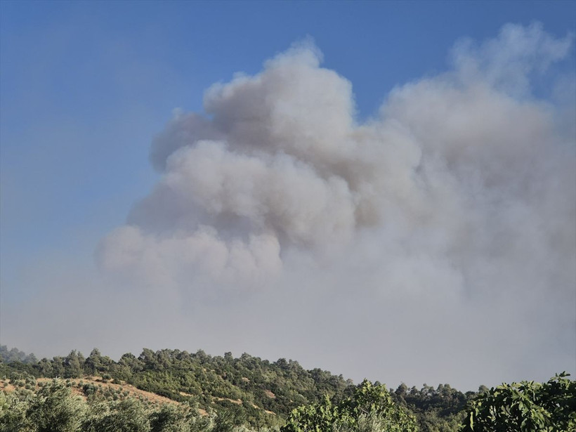 Manisa Ahmetli'de orman yangını: Tahliye başladı - Resim: 1