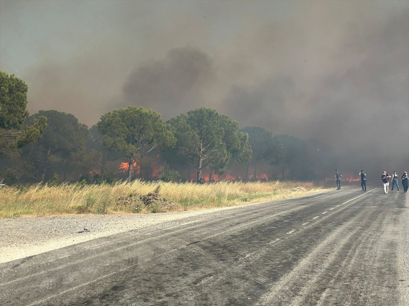 İstanbul'da orman yangını çıktı! Alevler yükseliyor - Resim: 2