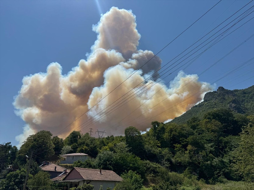 Sakarya'da yeni yangın çıktı! Geyve'de dumanlar gökyüzünü sardı - Resim: 2