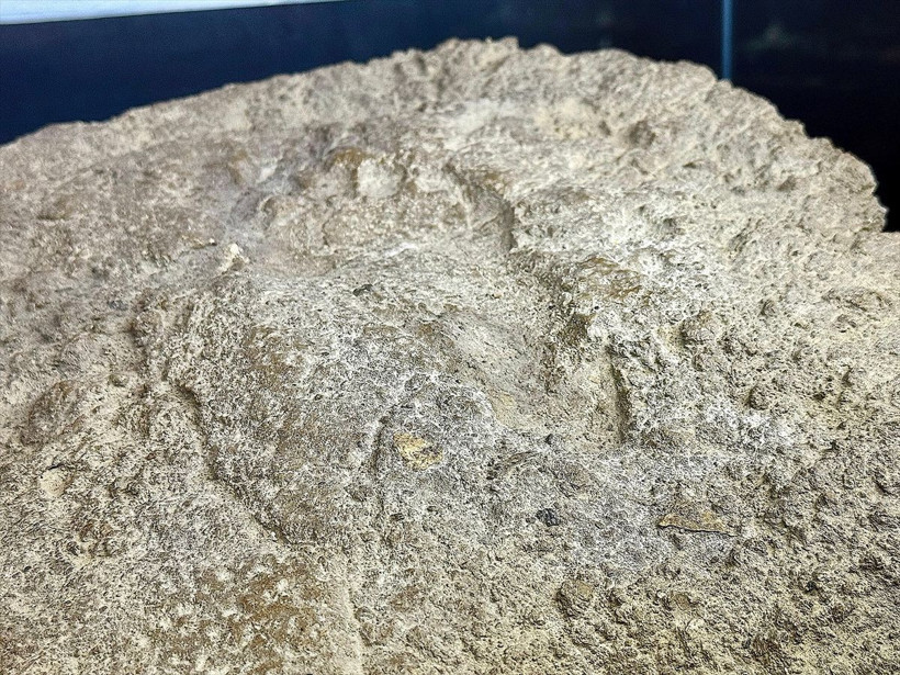 Van Kalesi'ndeki kazılarda bulundu 2800 yıllık kadın ayak izi ilk kez sergileniyor - Resim: 2