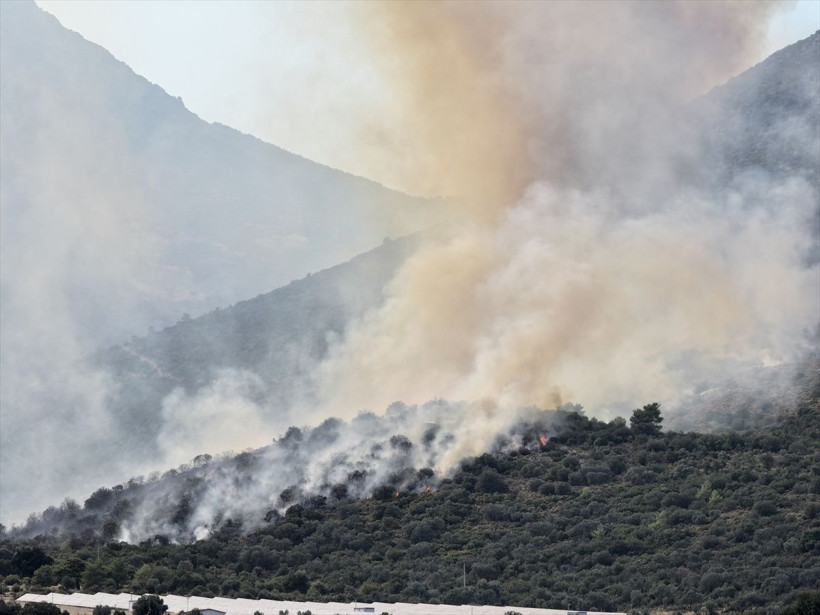 Adana ve Muğla’daki orman yangınları kontrol altına alındı - Resim: 1