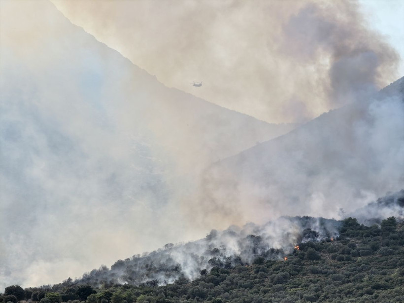 Adana ve Muğla’daki orman yangınları kontrol altına alındı - Resim: 2