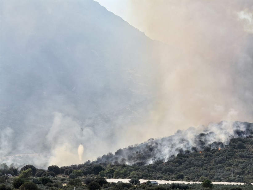 Adana ve Muğla’daki orman yangınları kontrol altına alındı - Resim: 3