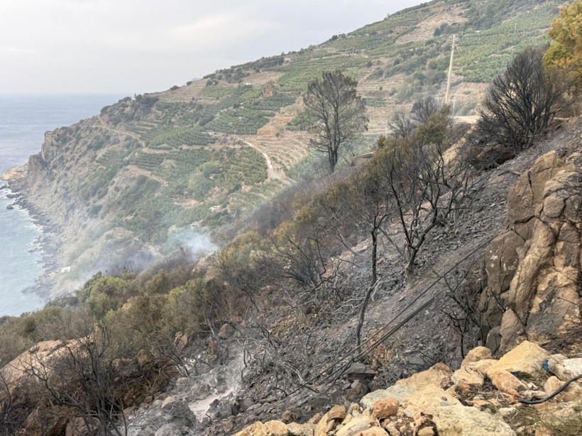 Antalya'da yangın! Muz bahçesinde çıkan yangın söndürüldü - Resim: 3